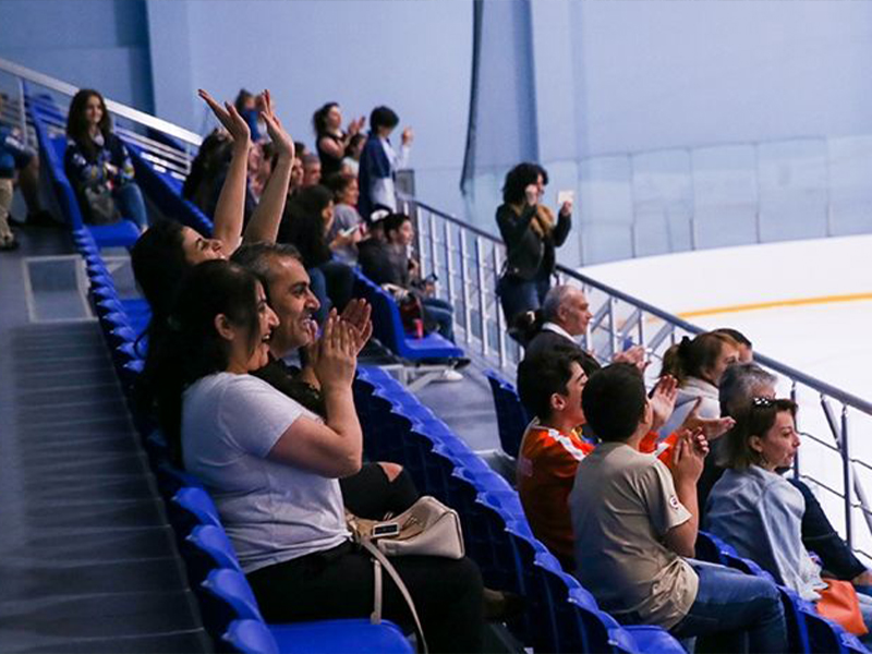 Школа фигурного катания, г. Ереван, Армения